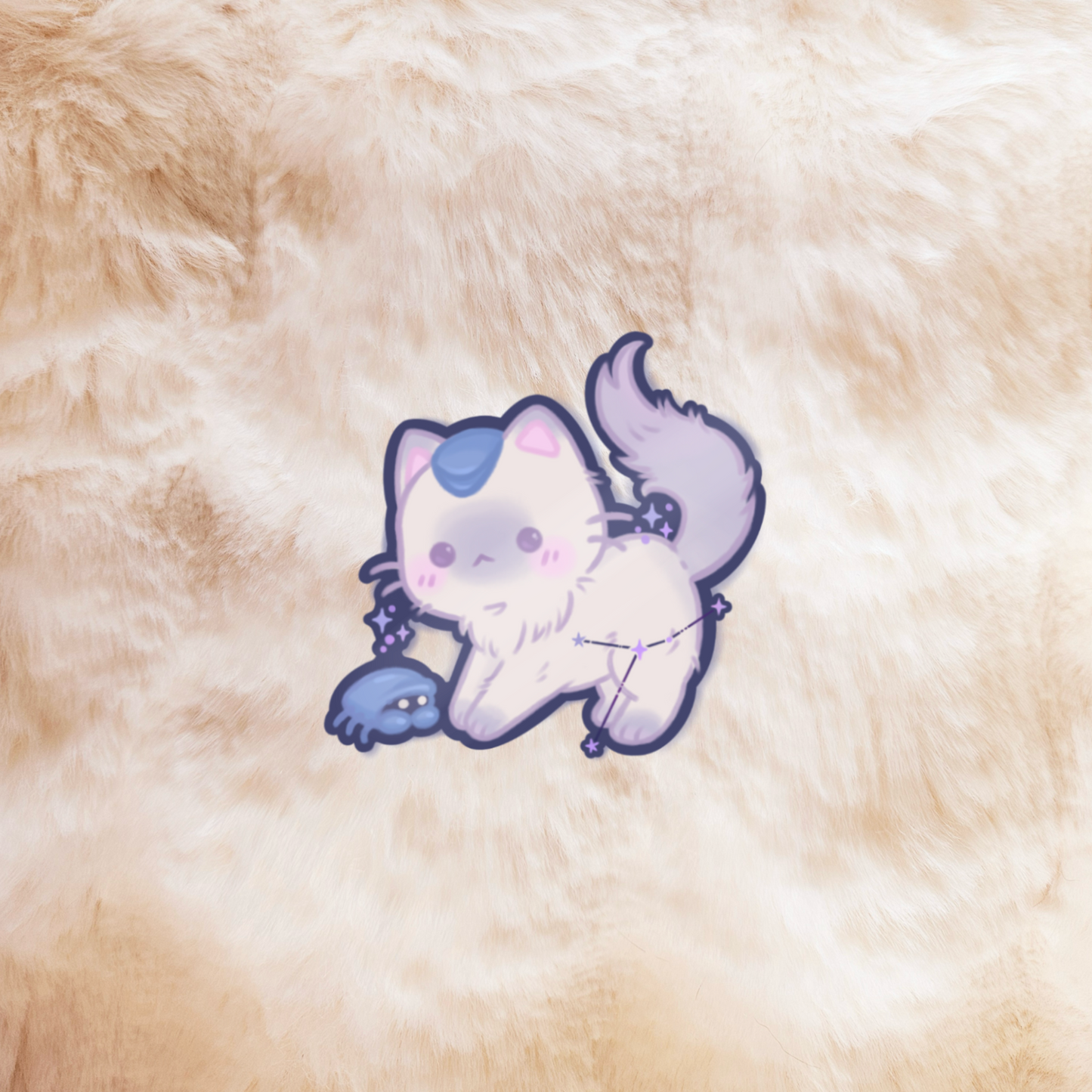 Cancer | Zodiac Cats