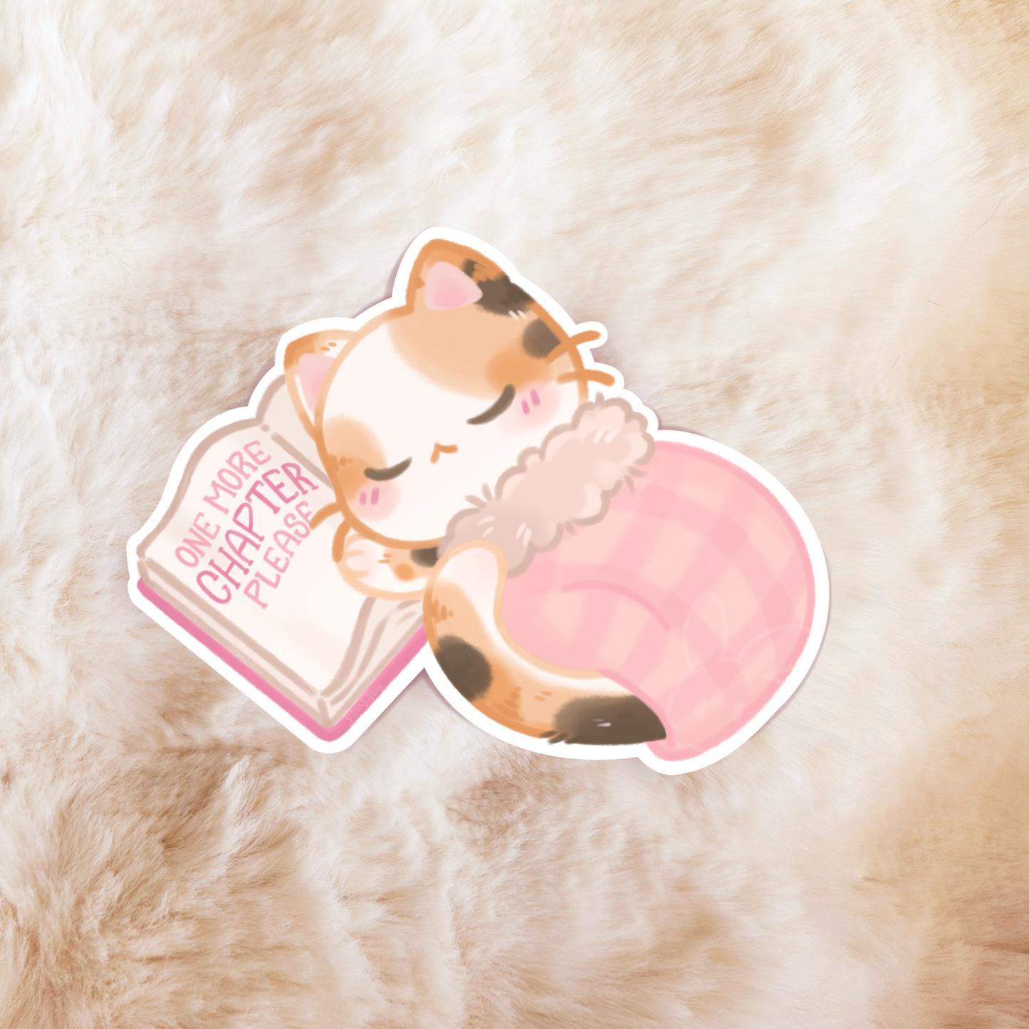 Cat | One More Chapter